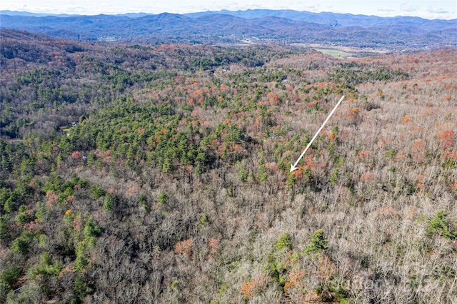 TBD Cherrywood Ln Unit B, Pisgah Forest, NC 28768 - photo 13