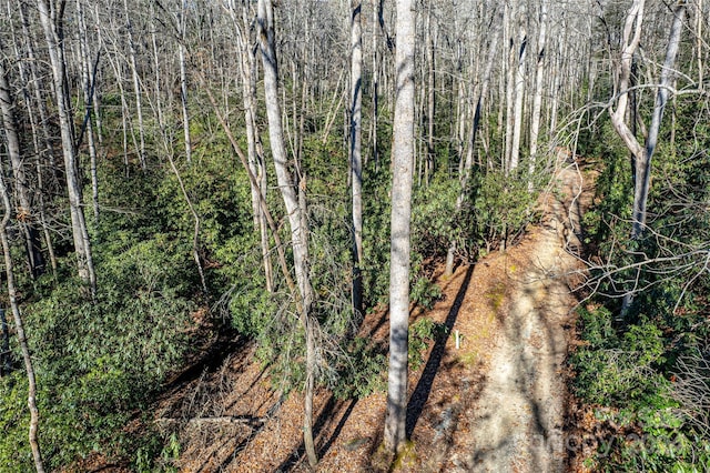 TBD Cherrywood Ln Unit B, Pisgah Forest, NC 28768 - photo 15