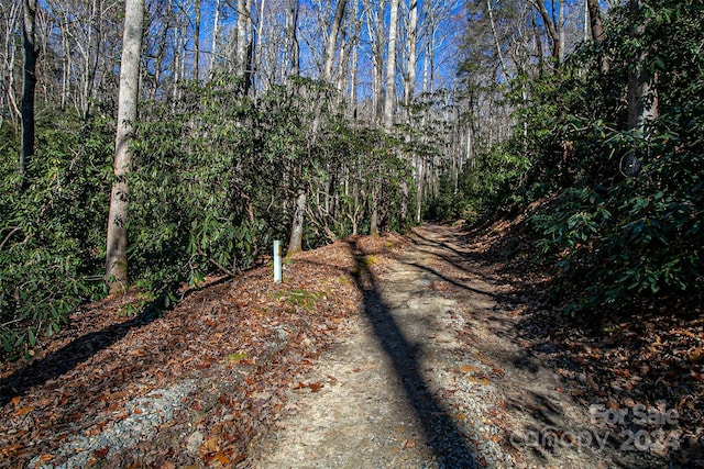 TBD Cherrywood Ln Unit B, Pisgah Forest, NC 28768 - photo 16