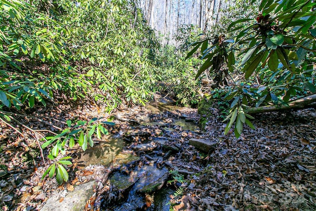 TBD Cherrywood Ln Unit B, Pisgah Forest, NC 28768 - photo 17