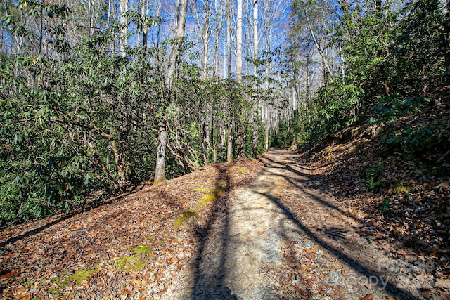 TBD Cherrywood Ln Unit B, Pisgah Forest, NC 28768 - photo 18