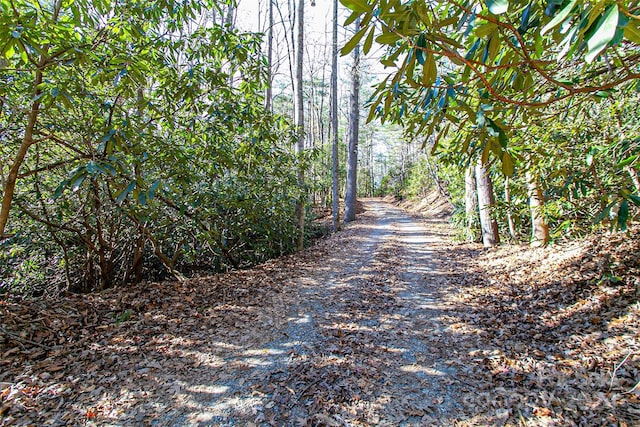 TBD Cherrywood Ln Unit B, Pisgah Forest, NC 28768 - photo 19