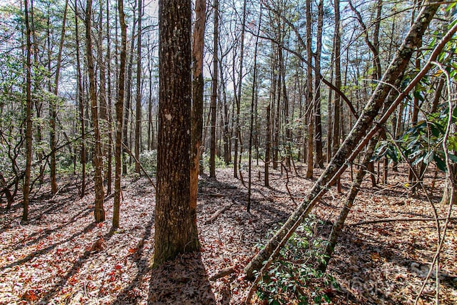 TBD Cherrywood Ln Unit B, Pisgah Forest, NC 28768 - photo 20