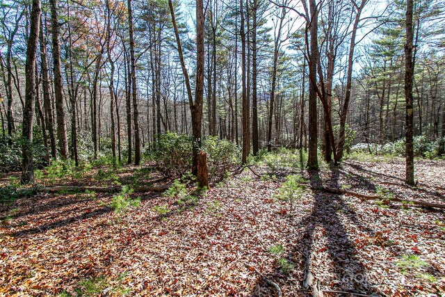 TBD Cherrywood Ln Unit B, Pisgah Forest, NC 28768 - photo 21