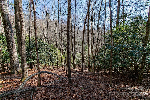 TBD Cherrywood Ln Unit B, Pisgah Forest, NC 28768 - photo 22
