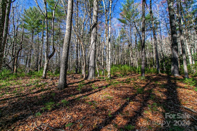 TBD Cherrywood Ln Unit B, Pisgah Forest, NC 28768 - photo 23