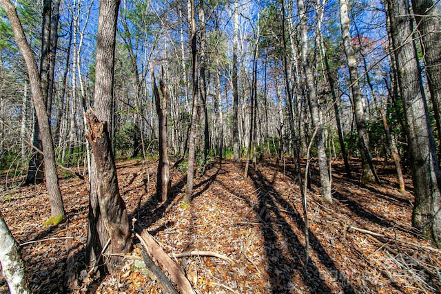 TBD Cherrywood Ln Unit B, Pisgah Forest, NC 28768 - photo 24