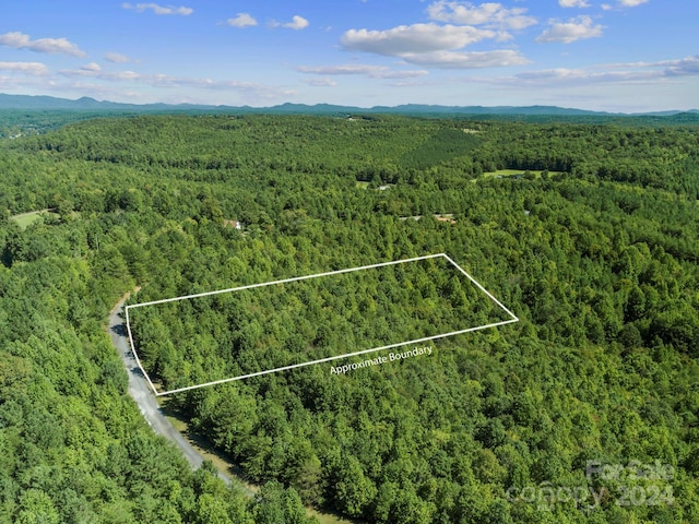 0000 Hope Dr, Rutherfordton NC, 28139 land for sale