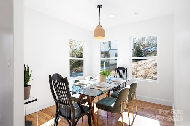 dining space with hardwood / wood-style flooring