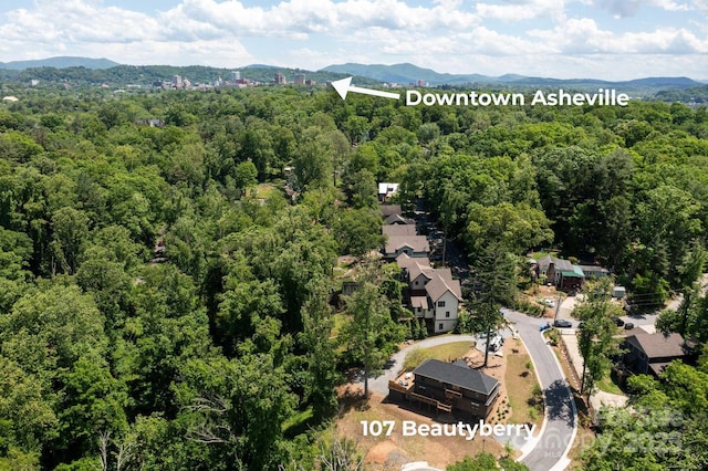 drone / aerial view with a mountain view