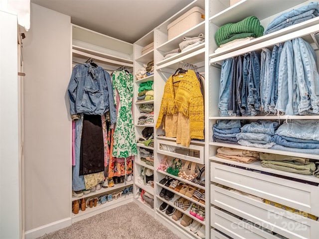 spacious closet featuring carpet flooring