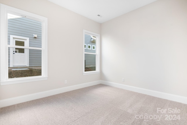 carpeted spare room featuring a healthy amount of sunlight