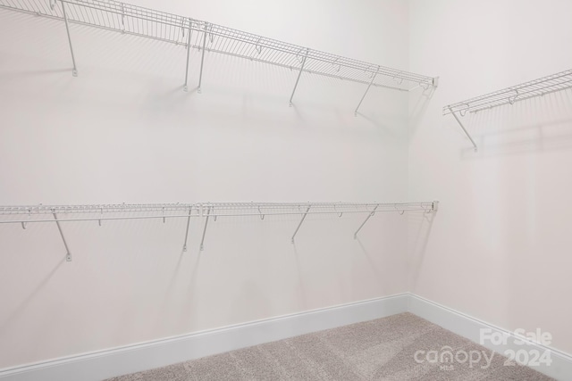 walk in closet with carpet