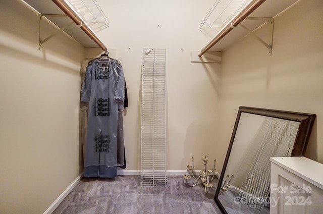 spacious closet with carpet