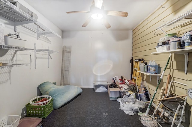 storage room featuring ceiling fan