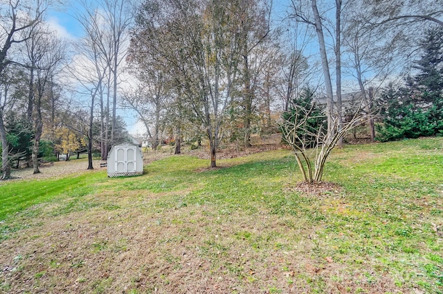 view of yard featuring a storage shed