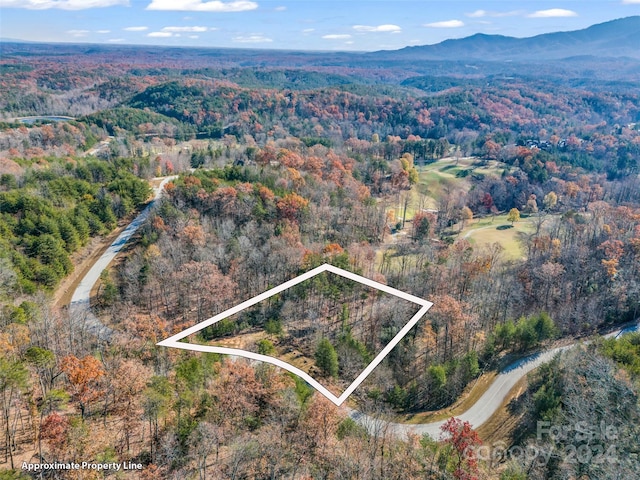 00 Deep Gap Farm Rd, Mill Spring NC, 28756 land for sale