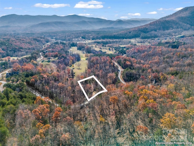 Listing photo 3 for 00 Deep Gap Farm Rd, Mill Spring NC 28756