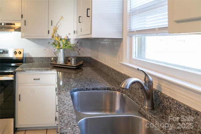 kitchen featuring exhaust hood, white cabinets, sink, stainless steel electric range oven, and tasteful backsplash