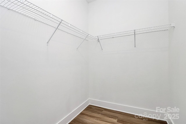 spacious closet featuring dark wood-style floors