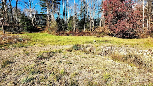 1769 Old Haywood Rd Unit 1, Asheville NC, 28806 land for sale