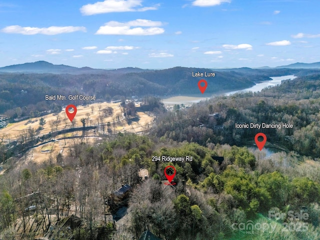 birds eye view of property featuring a water and mountain view