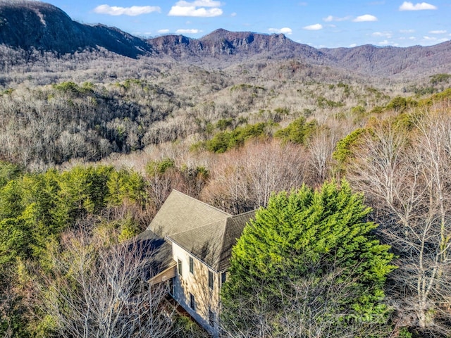 view of mountain feature