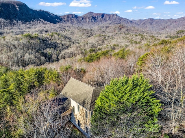 294 Ridgeway Rd, Lake Lure, NC 28746 - photo 5