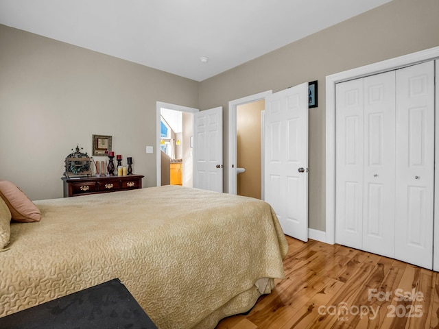 bedroom featuring wood-type flooring and a closet