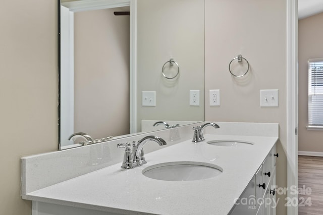 bathroom featuring wood-type flooring and vanity