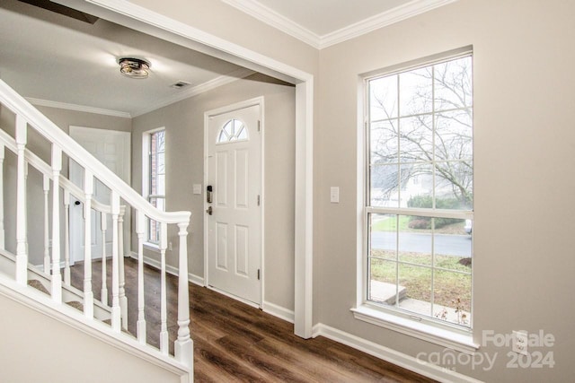 entryway featuring dark hardwood / wood-style flooring, ornamental molding, and a wealth of natural light