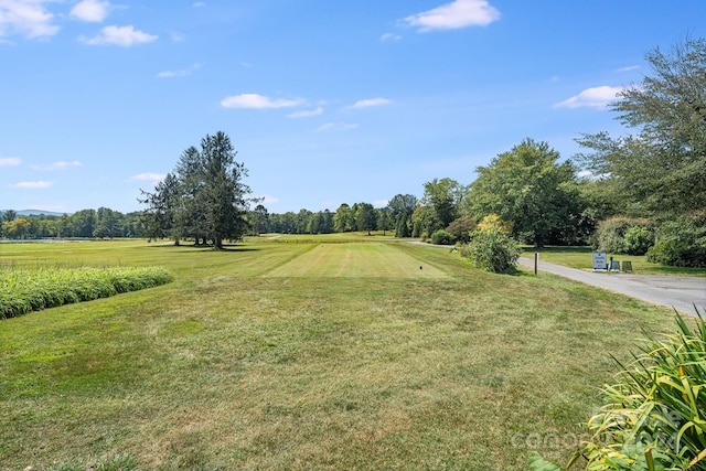 view of yard featuring a rural view