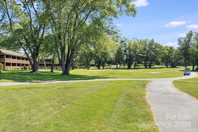 view of community with a yard