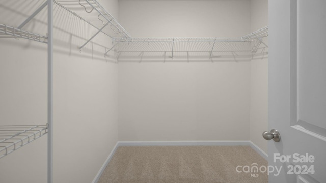 walk in closet featuring carpet floors