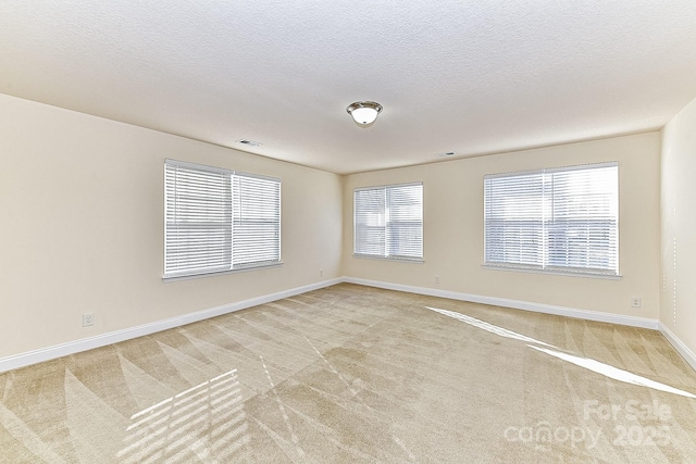 spare room featuring light carpet and a textured ceiling