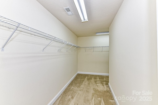 walk in closet with carpet floors