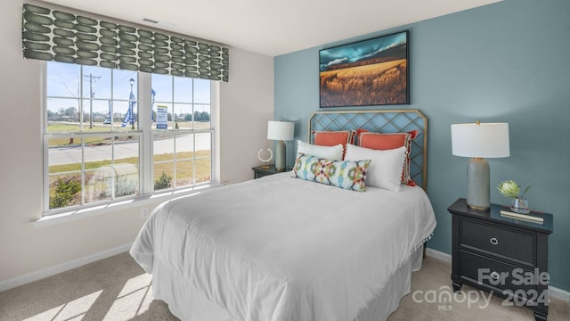 view of carpeted bedroom