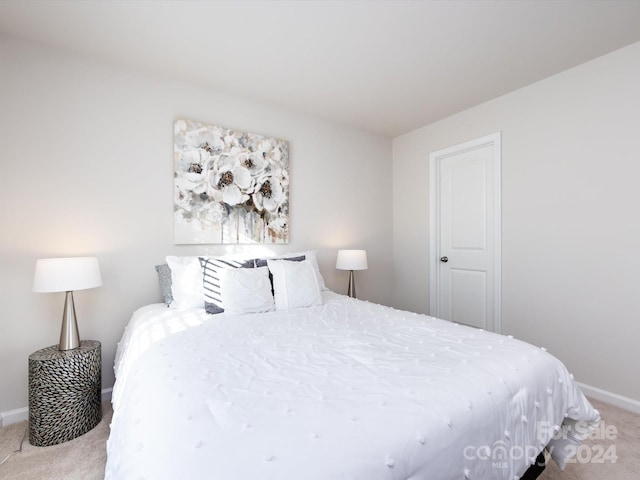 15533 Capps Rd, Charlotte, NC 28278 - bedroom with carpet flooring