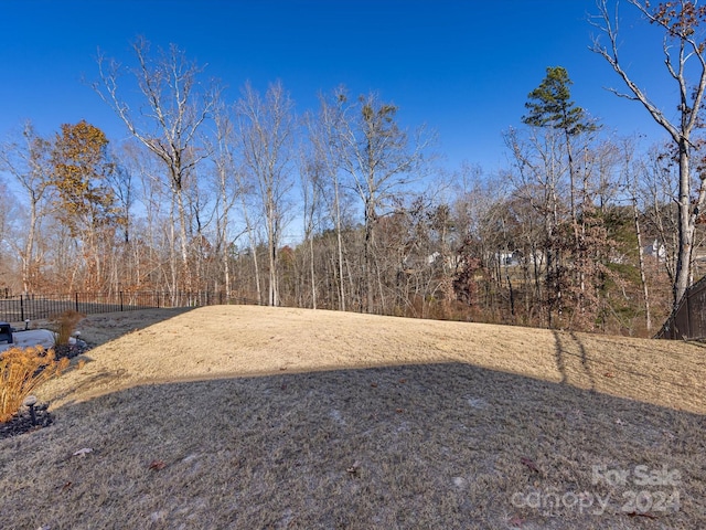 15533 Capps Rd, Charlotte, NC 28278 - view of yard