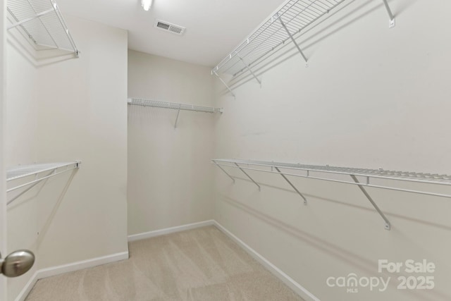 walk in closet featuring carpet flooring