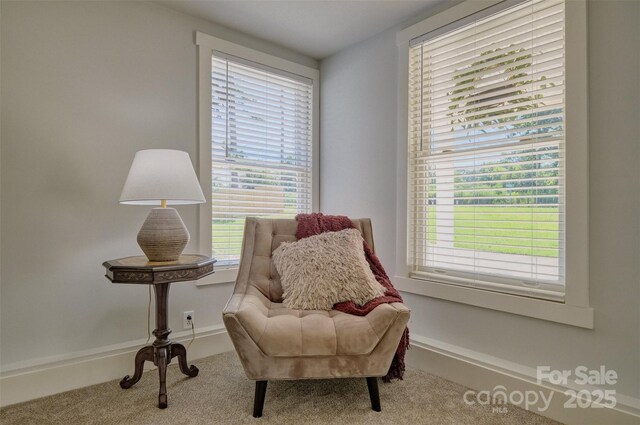 2039 California Rd, York, SC 29745 - photo 7