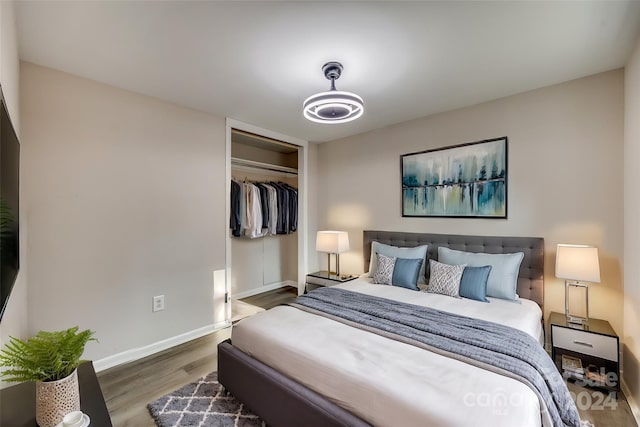 bedroom with a closet and wood-type flooring