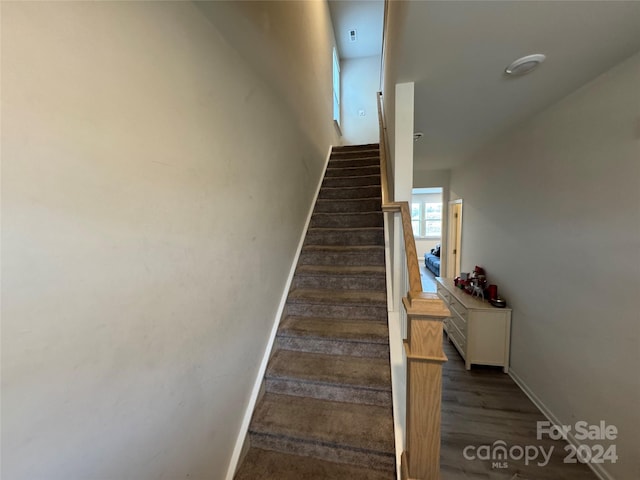 stairs with hardwood / wood-style flooring