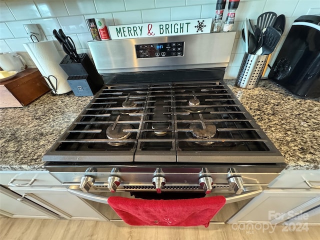 room details with backsplash and stainless steel gas range