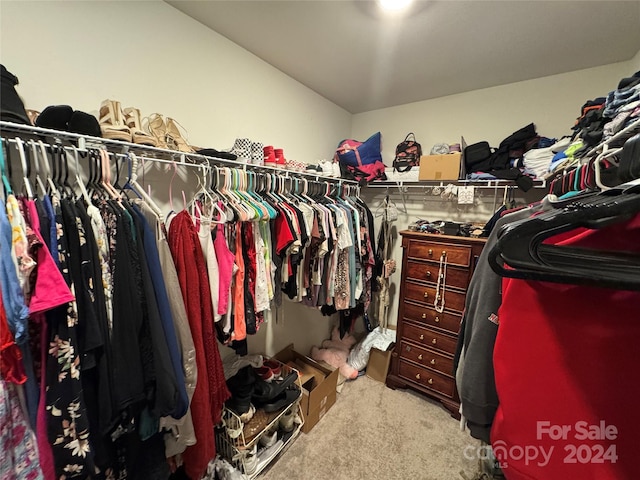 spacious closet with carpet