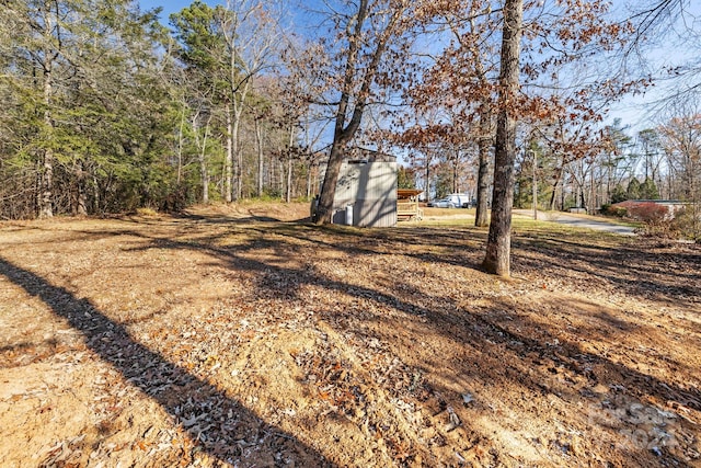 view of yard with a storage shed