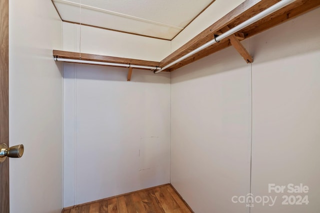 walk in closet with hardwood / wood-style floors