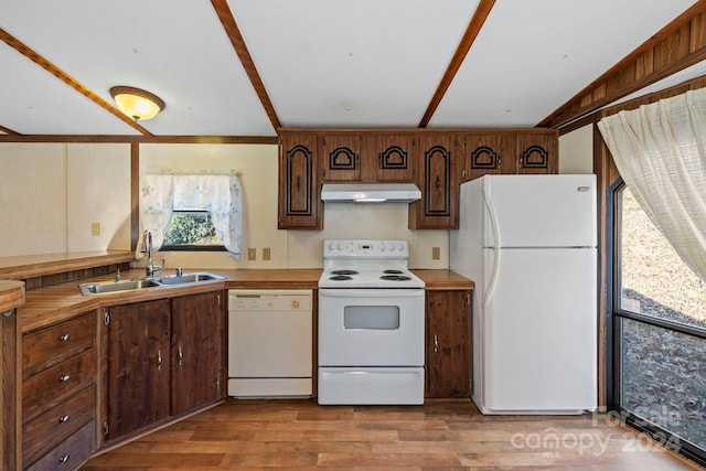 kitchen featuring light wood-type flooring, white appliances, and sink