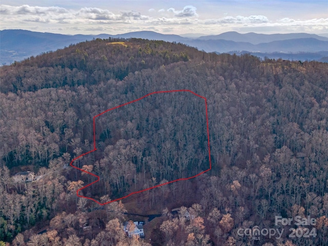 99999 Stonecrest Dr Unit A, Asheville, NC 28803