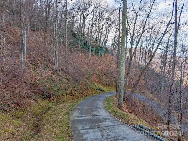 Listing photo 2 for 99999 Stonecrest Dr Unit A, Asheville NC 28803